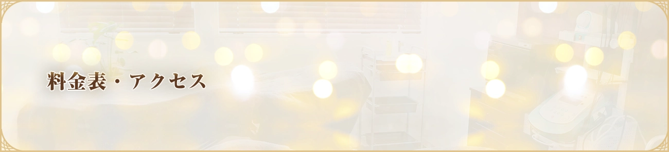 料金表・アクセス